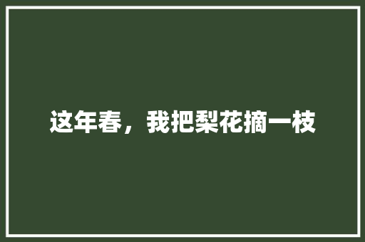 这年春，我把梨花摘一枝