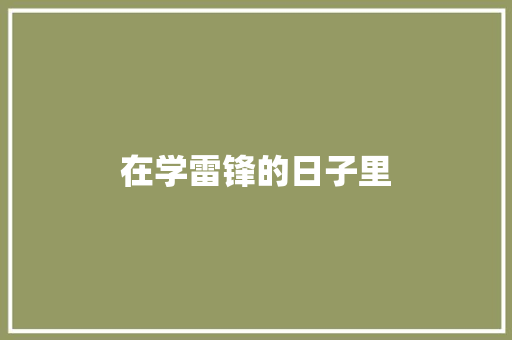 在学雷锋的日子里