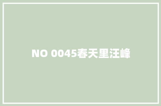NO 0045春天里汪峰