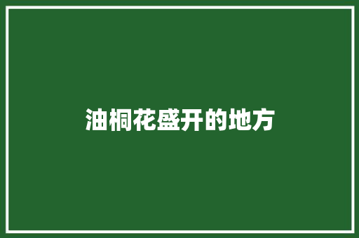 油桐花盛开的地方
