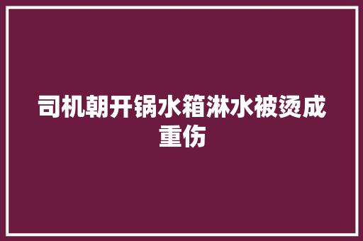 司机朝开锅水箱淋水被烫成重伤