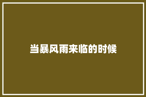 当暴风雨来临的时候