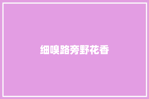 细嗅路旁野花香