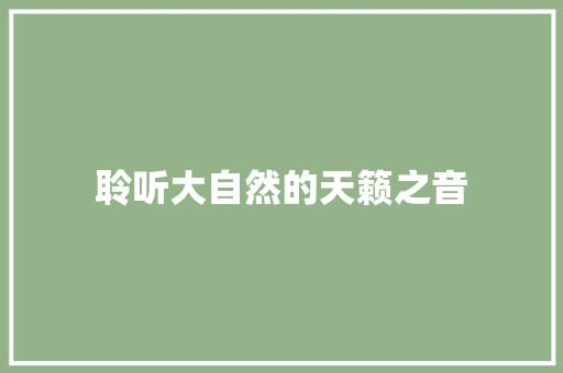 聆听大自然的天籁之音