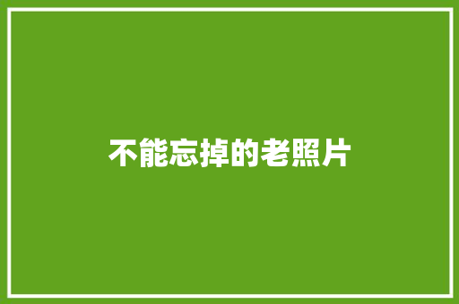 不能忘掉的老照片