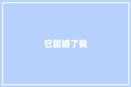 它震撼了我