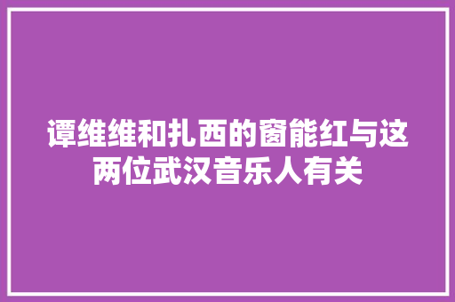 谭维维和扎西的窗能红与这两位武汉音乐人有关