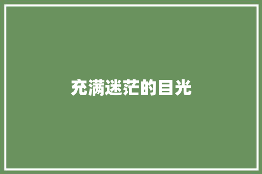 充满迷茫的目光