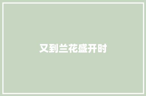 又到兰花盛开时