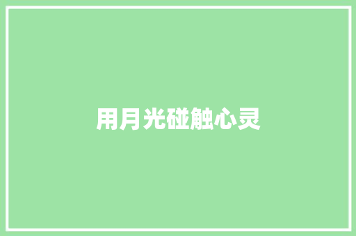 用月光碰触心灵
