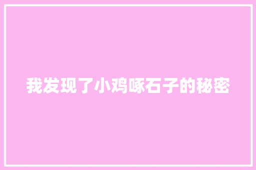 我发现了小鸡啄石子的秘密