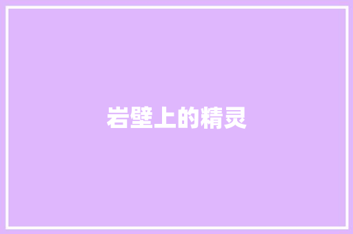 岩壁上的精灵