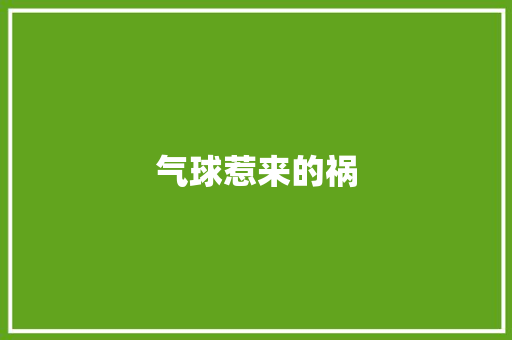 气球惹来的祸