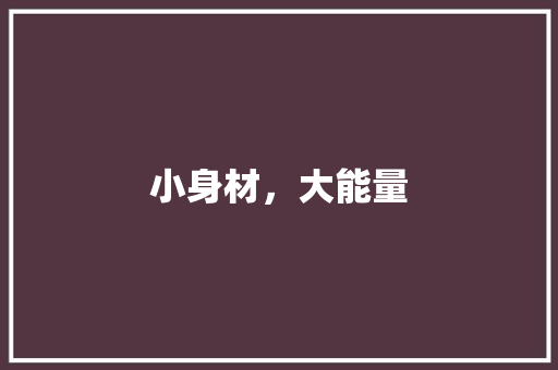 小身材，大能量