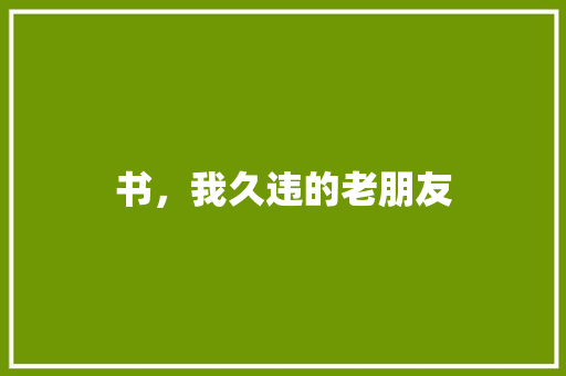 书，我久违的老朋友