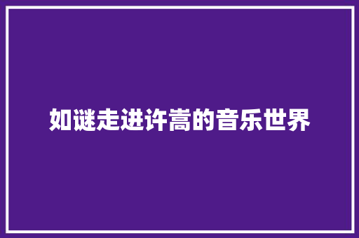 如谜走进许嵩的音乐世界