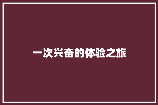 一次兴奋的体验之旅