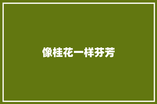 像桂花一样芬芳