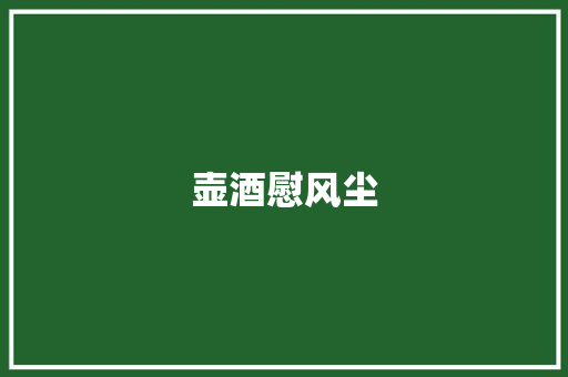 壶酒慰风尘