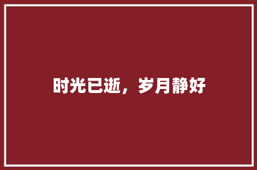 时光已逝，岁月静好