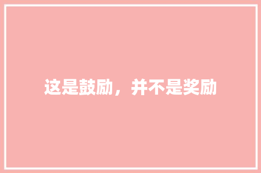 这是鼓励，并不是奖励
