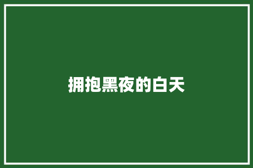 拥抱黑夜的白天