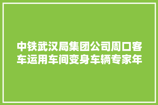 中铁武汉局集团公司周口客车运用车间变身车辆专家年夜夫