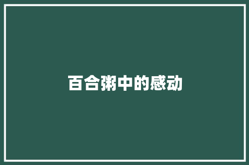 百合粥中的感动