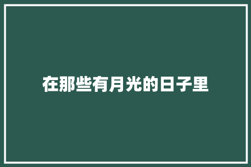 在那些有月光的日子里