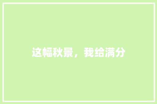 这幅秋景，我给满分