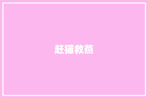 赶猫救燕