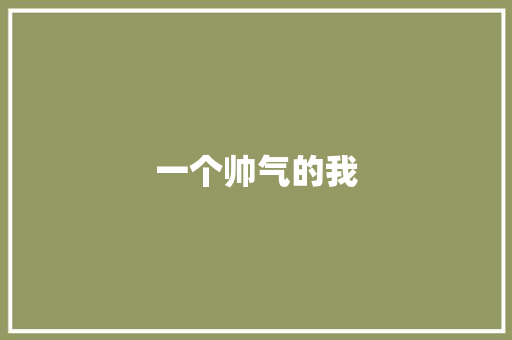 一个帅气的我
