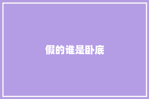 假的谁是卧底