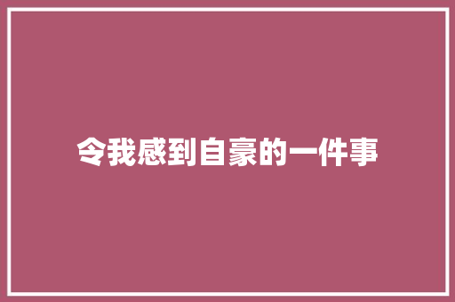 令我感到自豪的一件事