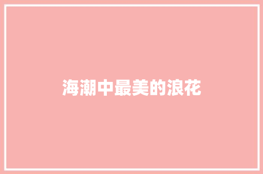 海潮中最美的浪花