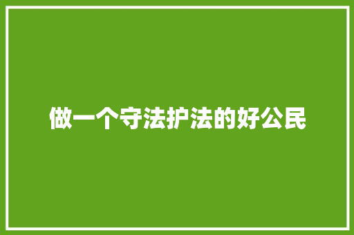 做一个守法护法的好公民