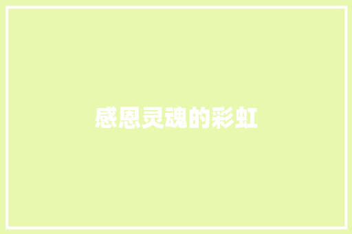 感恩灵魂的彩虹