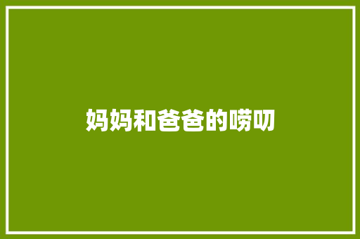 妈妈和爸爸的唠叨