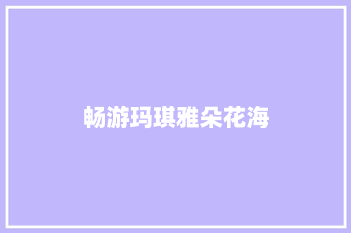 畅游玛琪雅朵花海