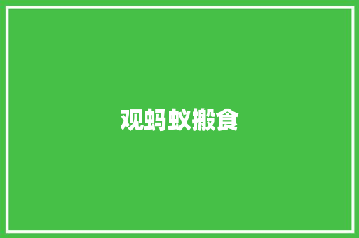 观蚂蚁搬食