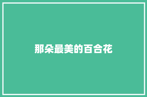 那朵最美的百合花
