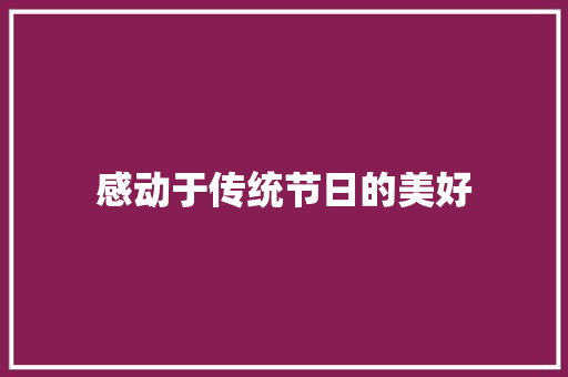 感动于传统节日的美好