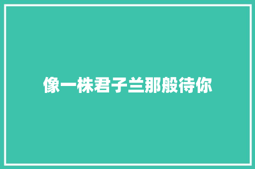 像一株君子兰那般待你