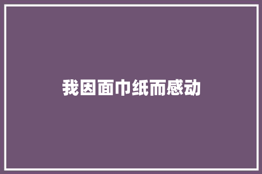 我因面巾纸而感动