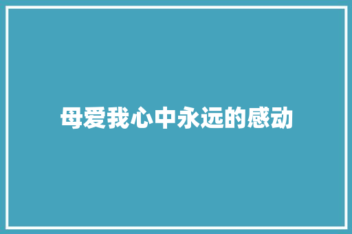 母爱我心中永远的感动
