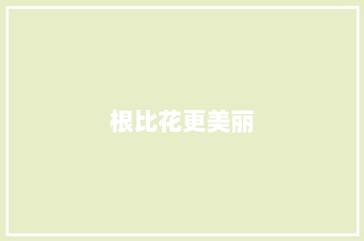 根比花更美丽