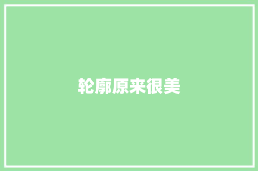 轮廓原来很美