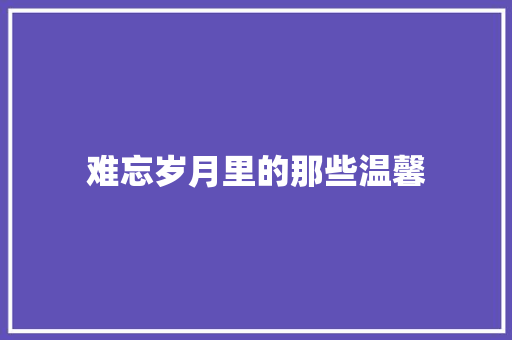 难忘岁月里的那些温馨