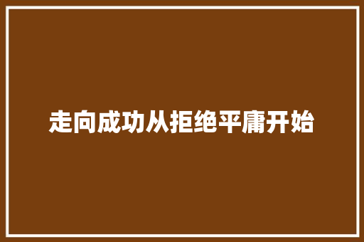 走向成功从拒绝平庸开始
