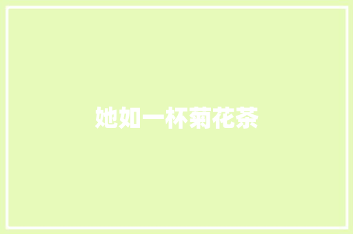 她如一杯菊花茶
